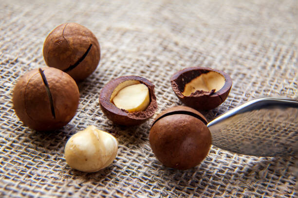 В Австралии редкий десерт обходится без орехов макадамии, которые по вкусу напоминают шоколад с нотками молока