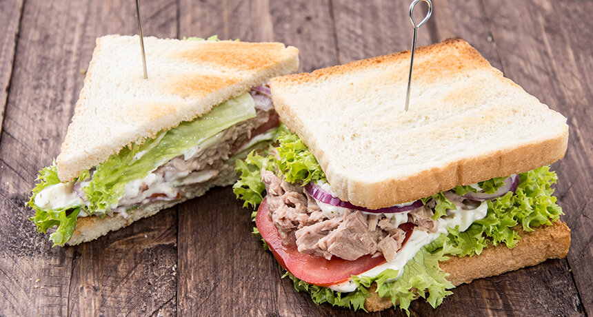 Очень простой и вкусный сендвич с тунцом