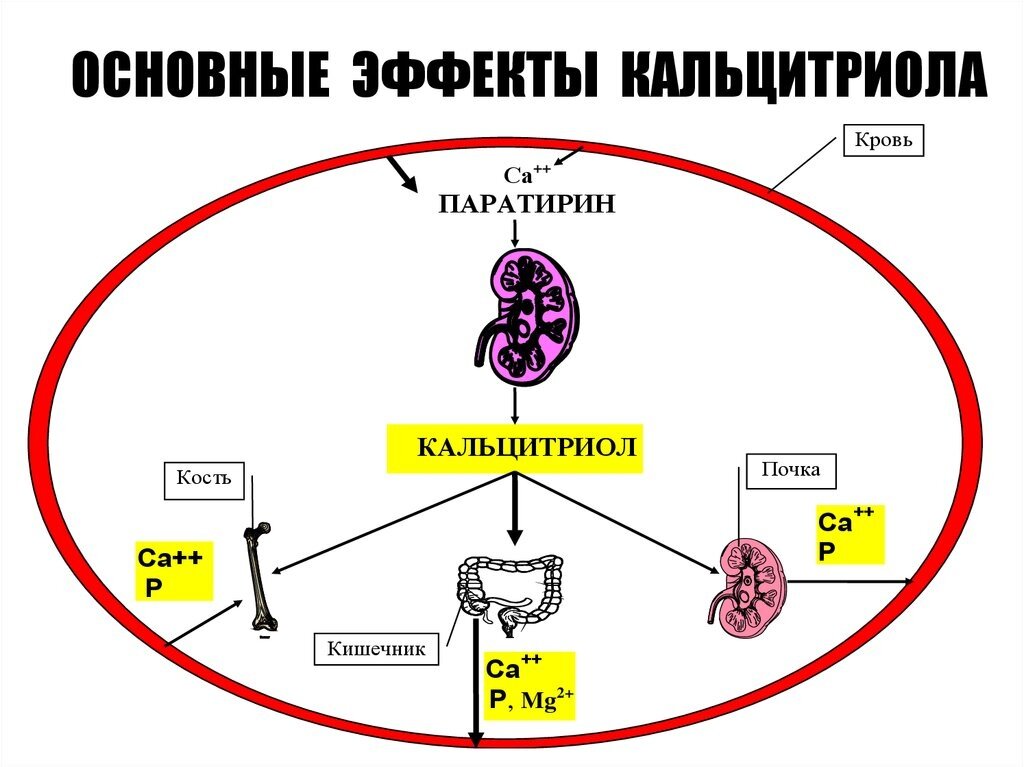 Что такое изотоник и для чего он нужен?