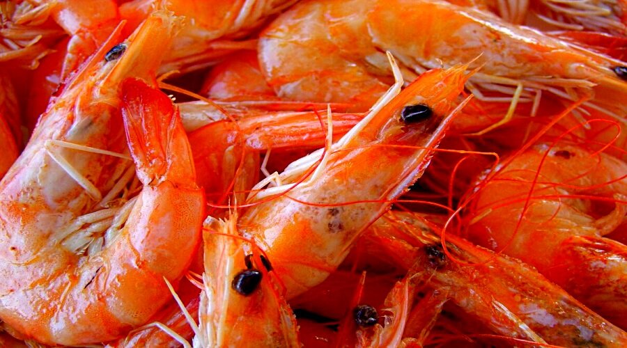 Морепродукты в Беларусь на переработку завозят из других стран...