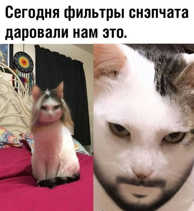 ***