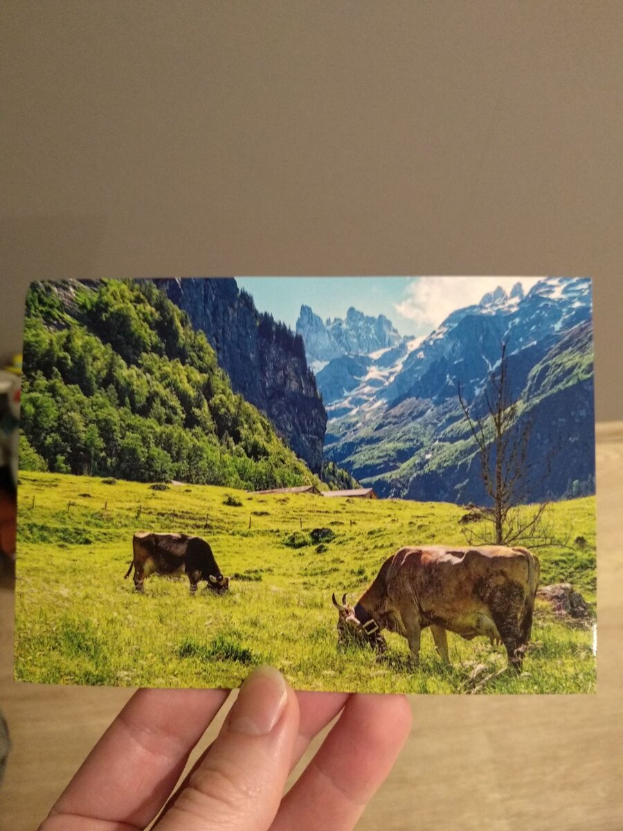 Открытка автора. Была прислана из Германии.