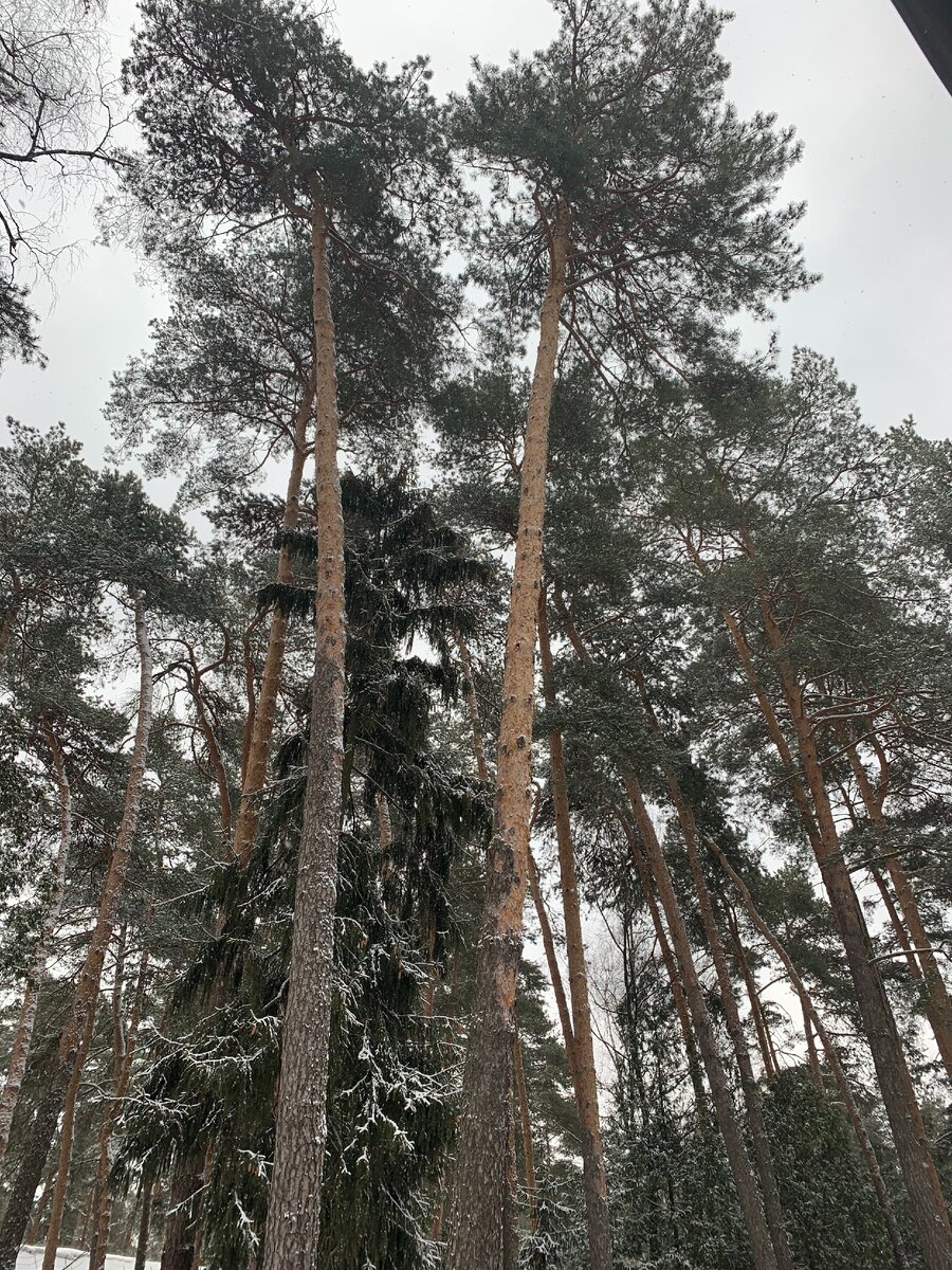 Ну, что ж, надеюсь, может встретимся весной.