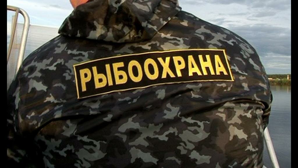 Рыбоохрана структура с федеральными полномочиями на всей территории России. фото из открытых источников "Яндекс Картинки"