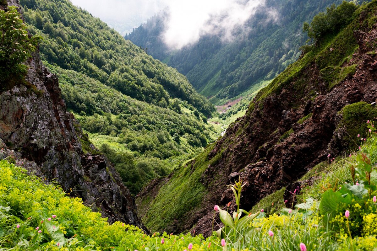 Фото с сайта https://kavkazzapoved.ru/
