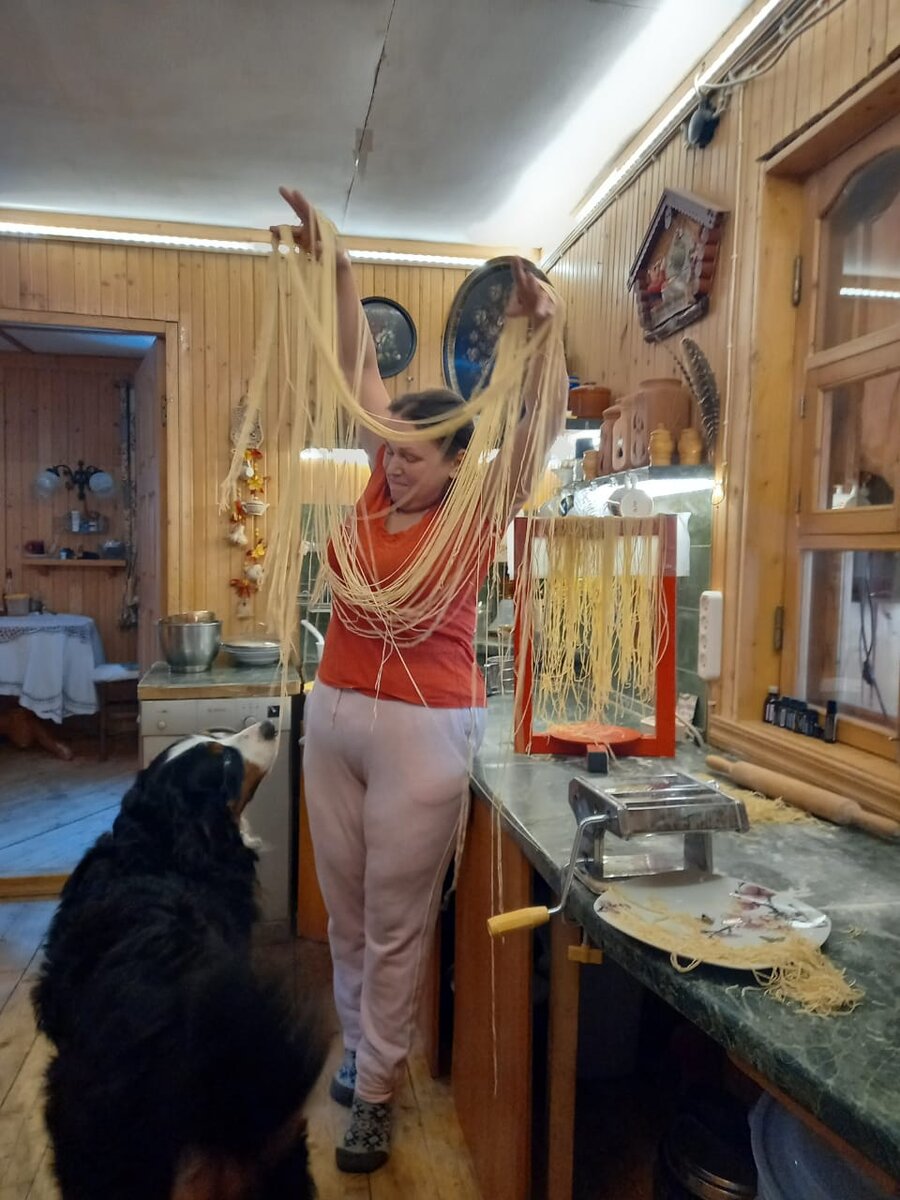 Волька помощник