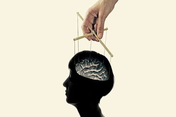 Этому вы научитесь