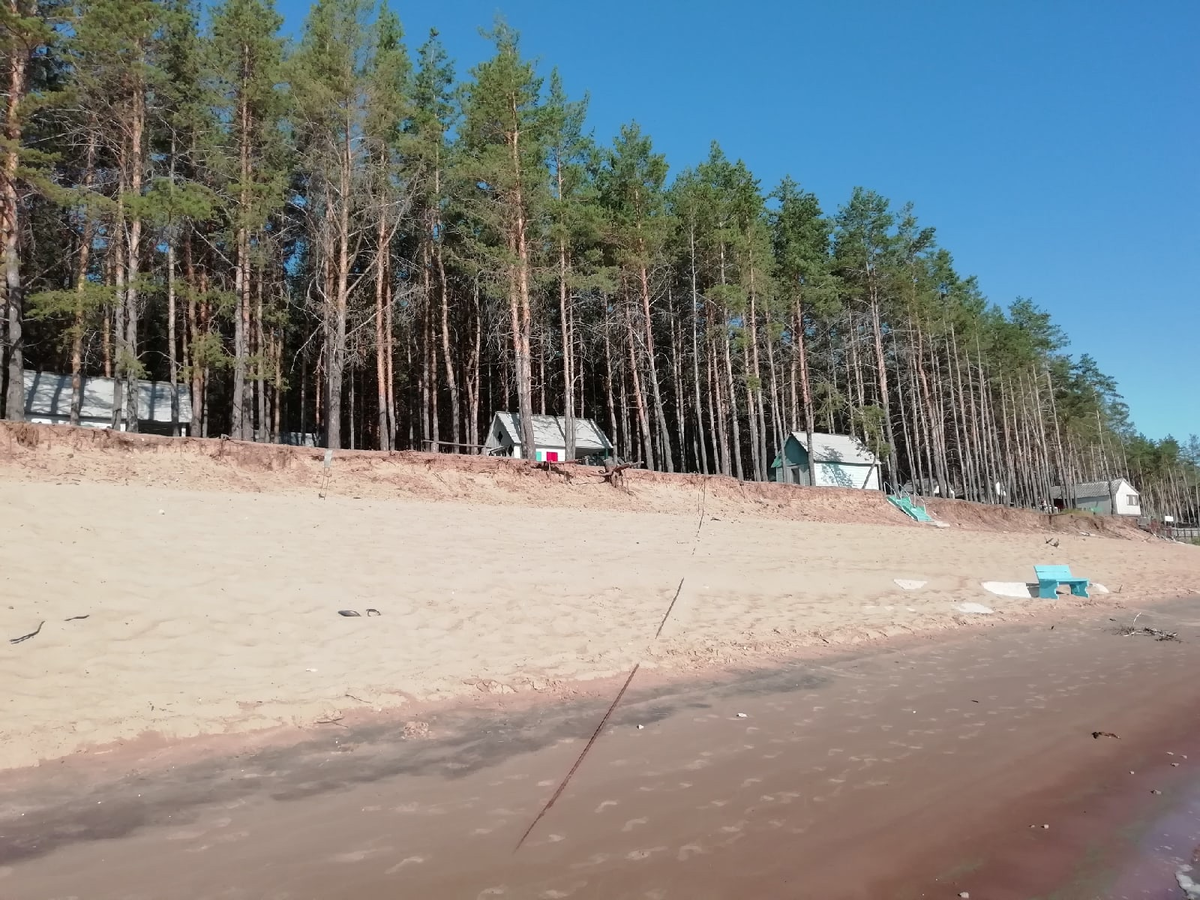 Турбаза Лазурная Самара. Турбазы на Волге Самара с пляжем. Турбаза Сосенки на Волге Самара 2003. Базы отдыха за Волгой в Самаре.