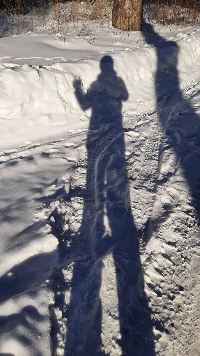 Автопортрет