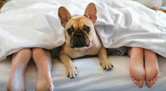 Изображение с сервиса reddit