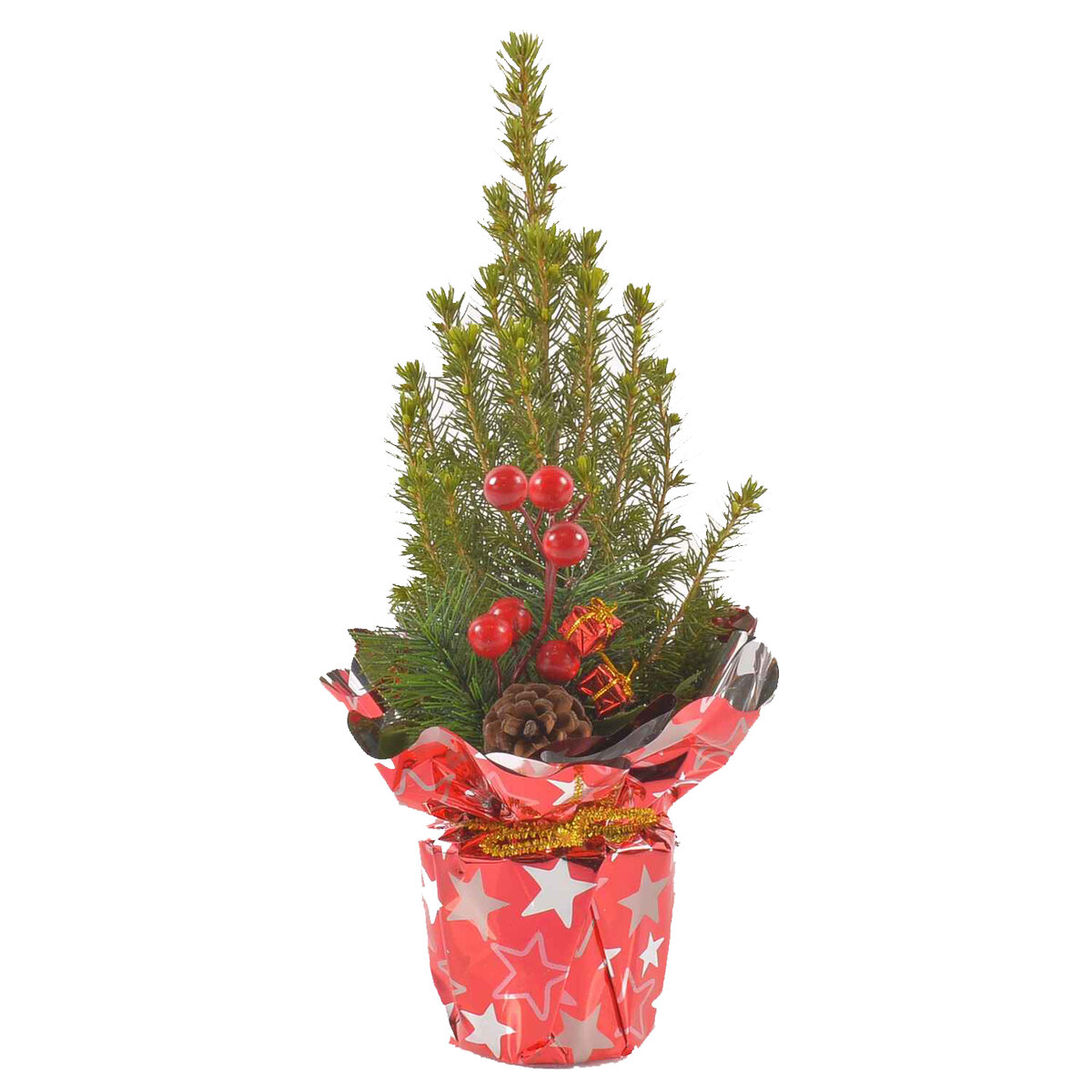 Фото из открытых источников.