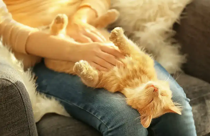 Солнечное счастье))