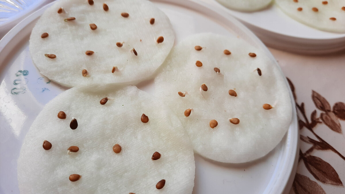 У семян томатов появились корешки.