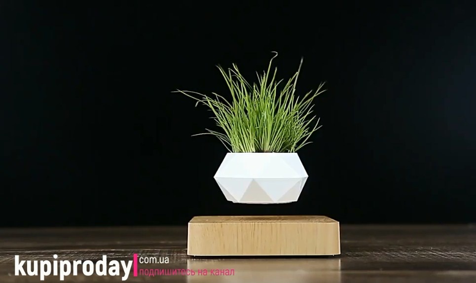 что заказать на алиэкспресс