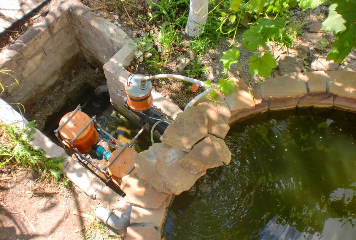 Пруд без воды своими руками на даче фото