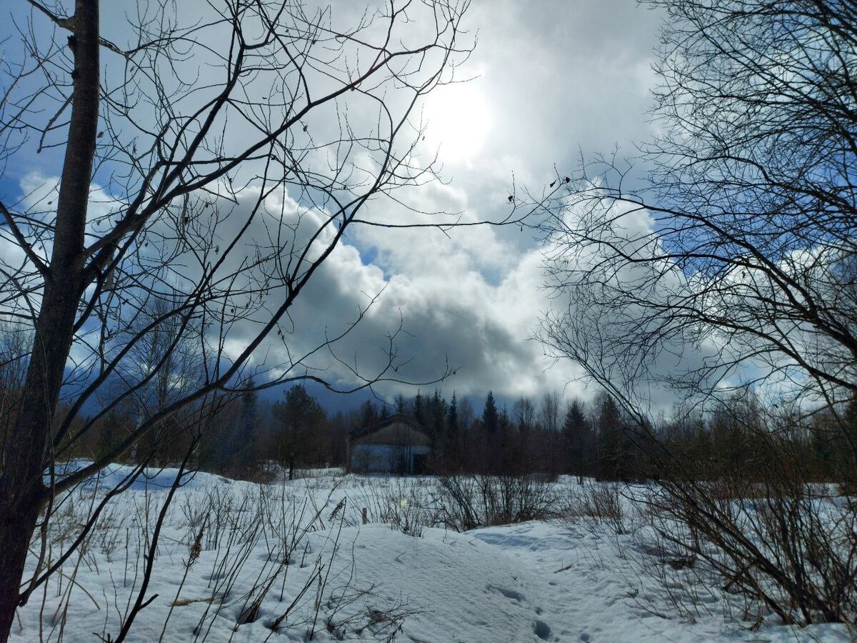 Старый посёлок "Шиес"