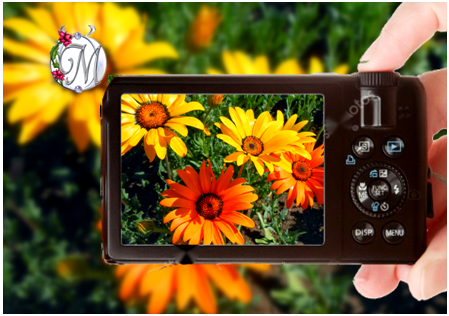 Ставьте лайки и подписывайтесь на мой канал