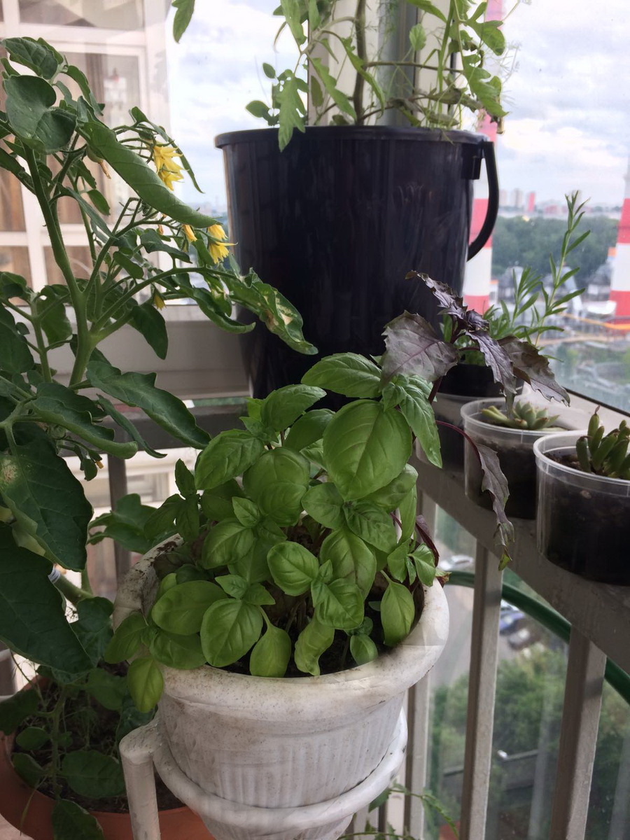 фото из личного архива