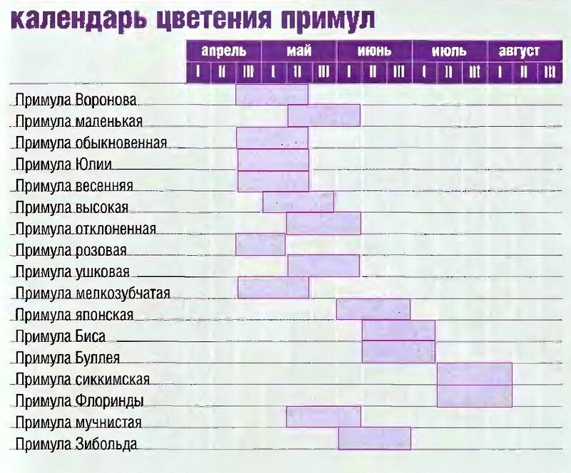 периоды цветения для аллергиков. периоды цветения для аллергиков москва. таблица цветения для аллергиков 2022. таблица цветения для аллергиков 2022. период цветения березы в москве для аллергиков.