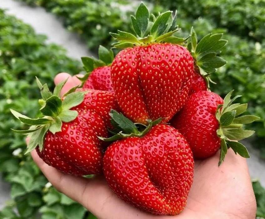 Фото из свободных источников