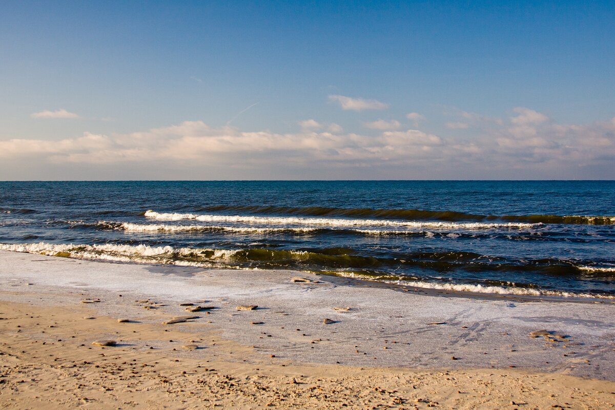 Фото с сайта Pixabay