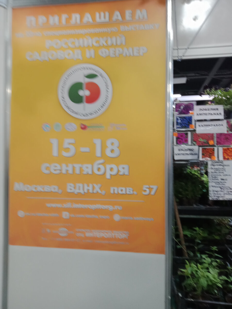 Извините за качество(((на экране телефона смотрелось лучше