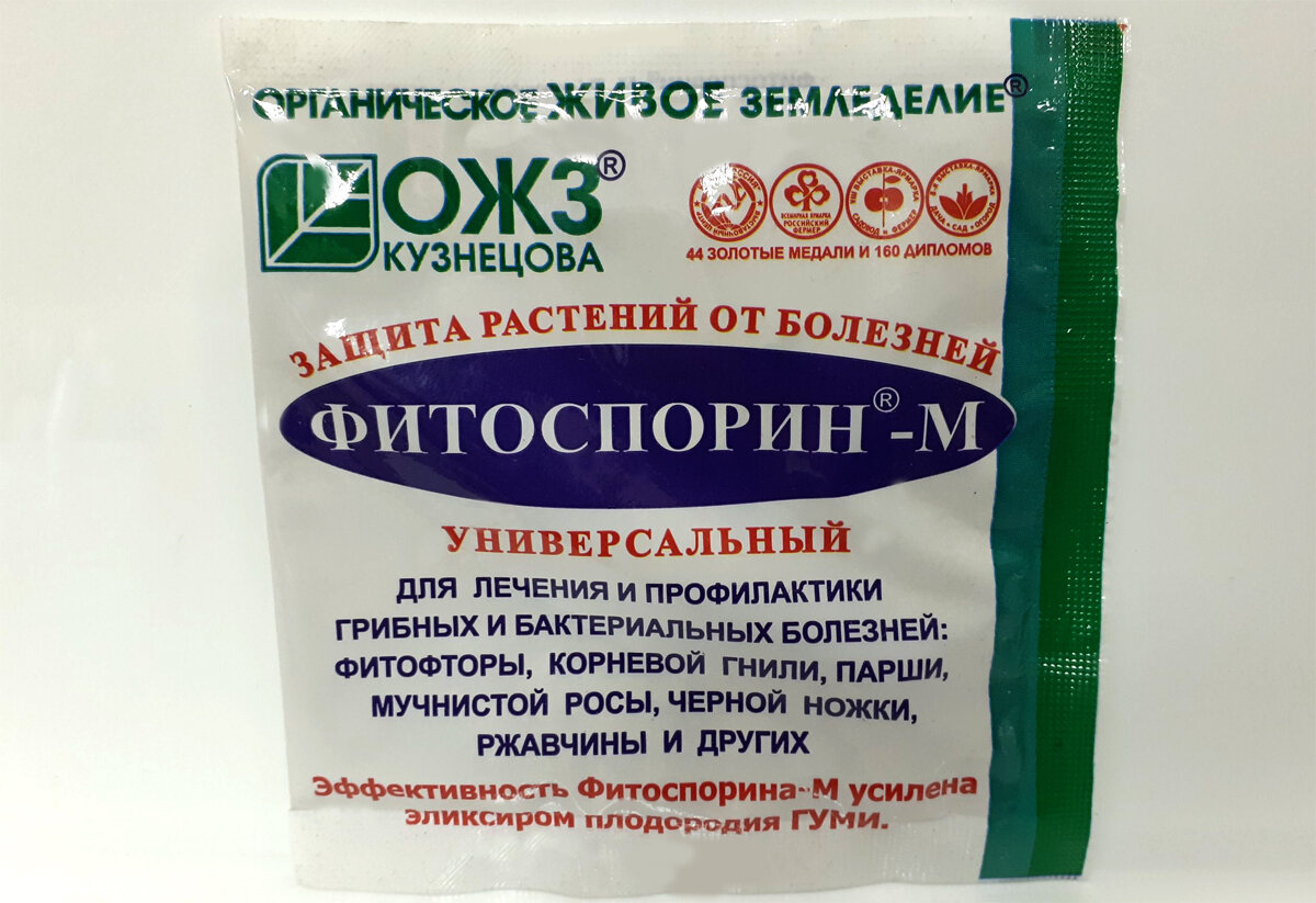 Фотография взята с сайта - https://clck.ru/UUeuu