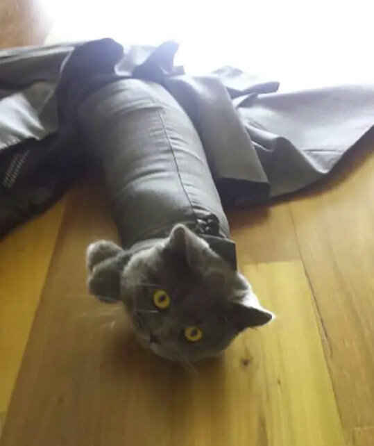 Источник: imgur.com