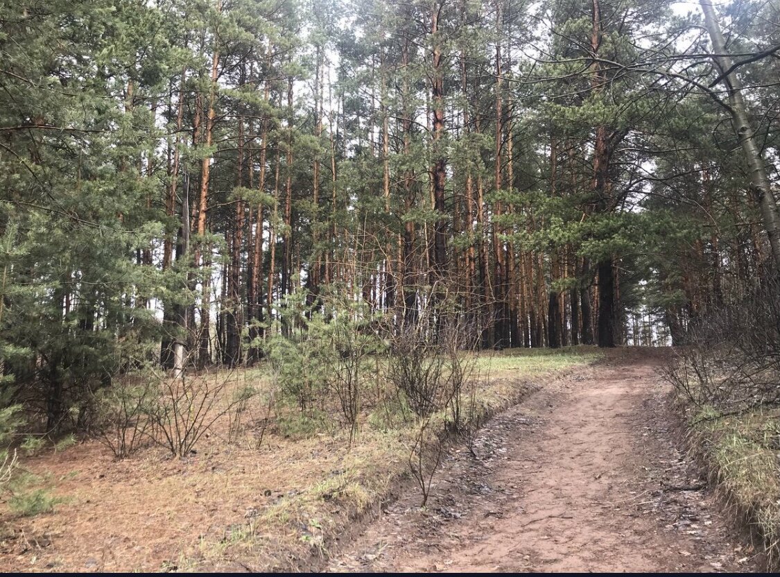 Отличное место для пробежки 