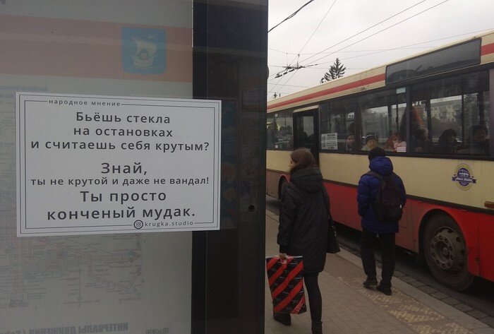 Источник фото Яндекс