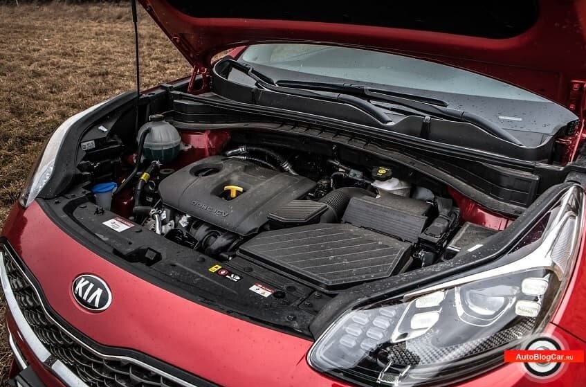 Мифы и реальные проблемы двигателей Hyundai и Kia: всё, что вам нужно знать