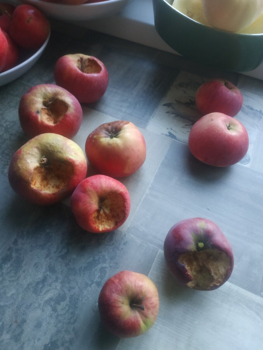 испорченные плоды