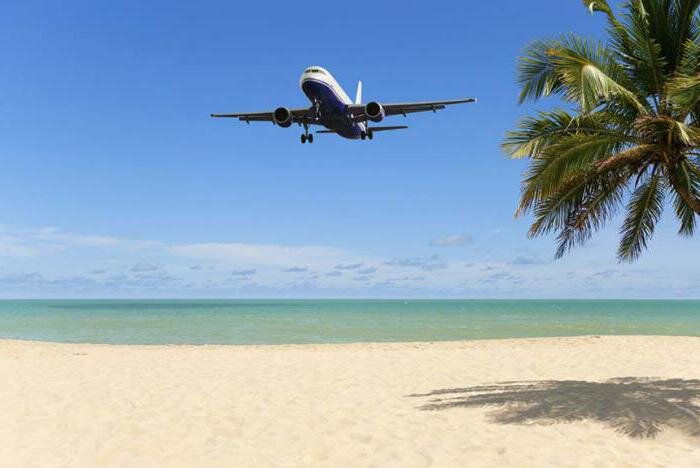 Фото взято с сайта Яндекс.ру