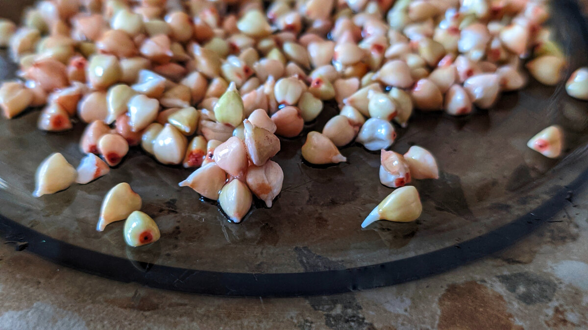 Пророщенная гречка, как раз 1мм