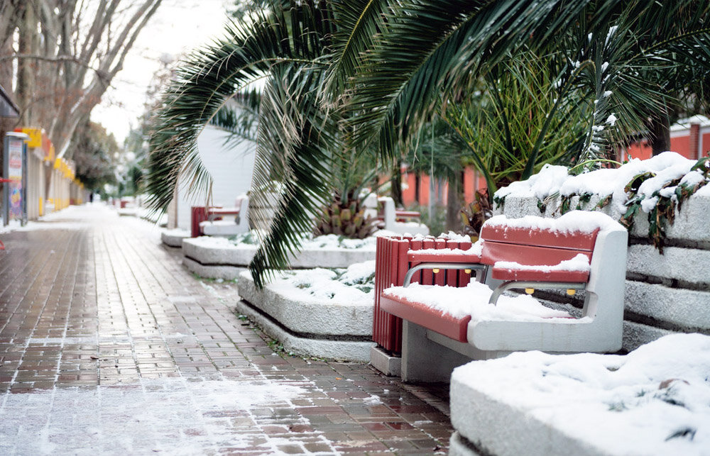 Красота зимнего Сочи