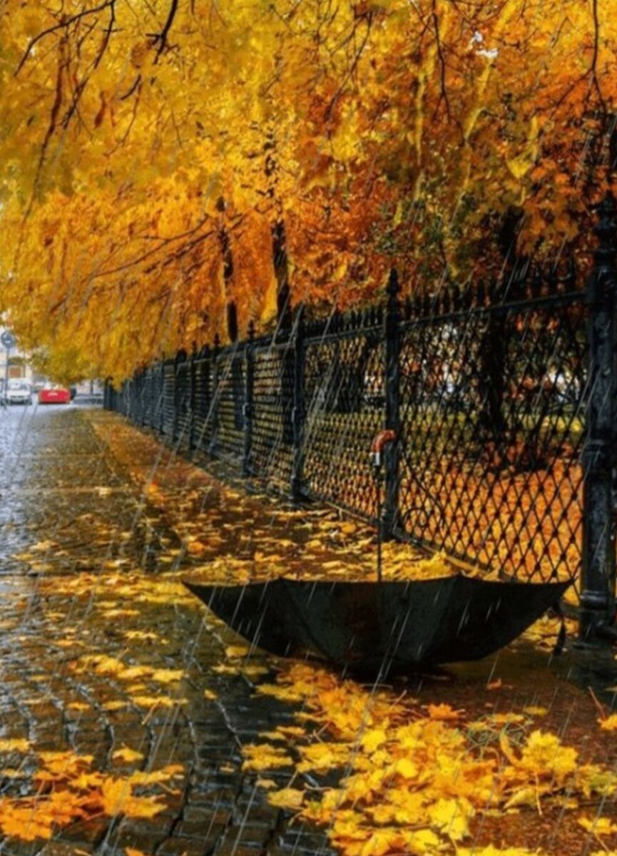 Золотая осень дождь. Дождливая осень. Осень дождь. Осень в городе. Дождливый осенний день.