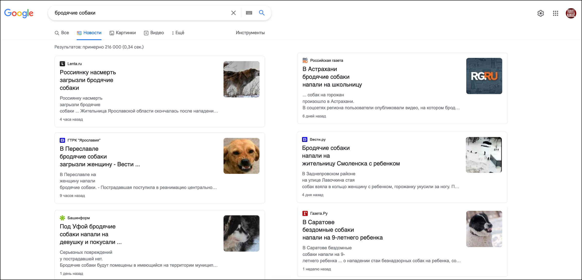 Почему вдруг активизировались по всей России бродячие собаки? Может это какое-то биооружие?0