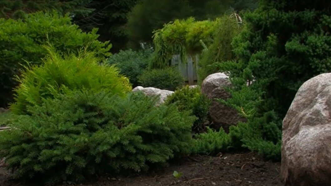 Сад - мечта!