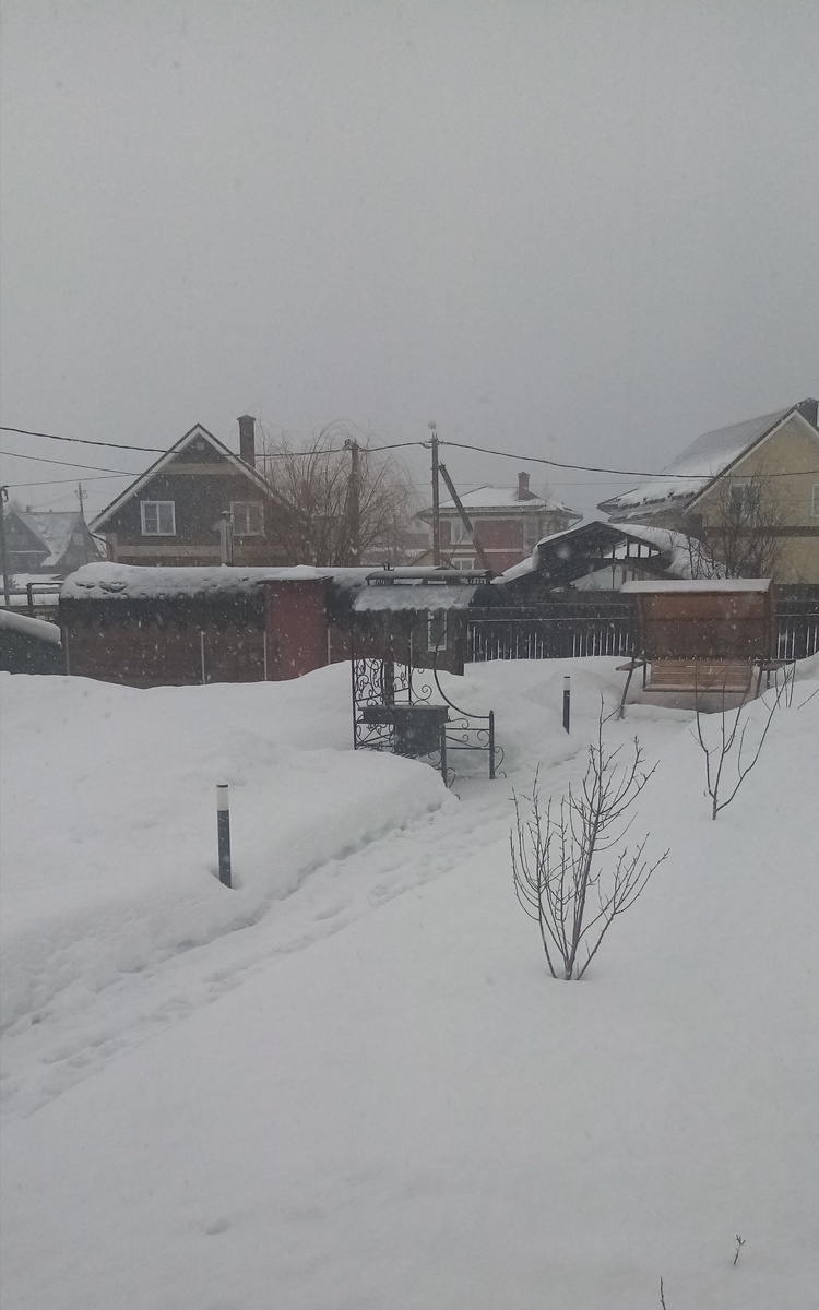 На фото не видно, как красиво падает снег