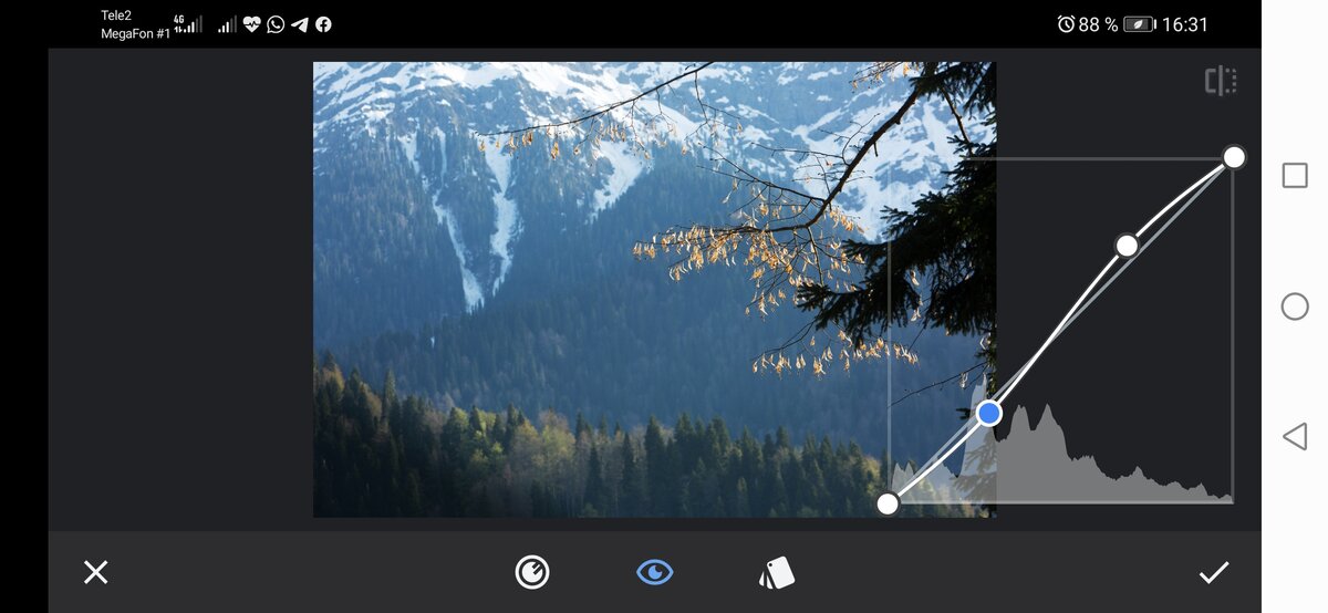 Очень люблю работать с кривыми - по яркости, контрасту и даже можно делать цветокоррекцию.