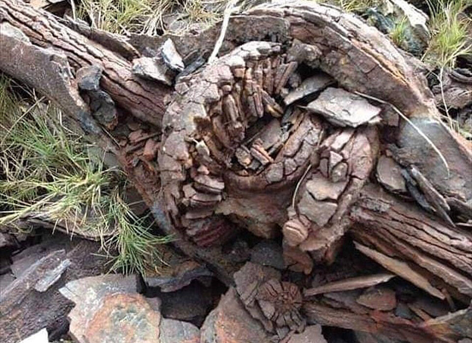 Мост с дна моря))