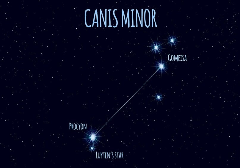 Созвездие Малого Пса