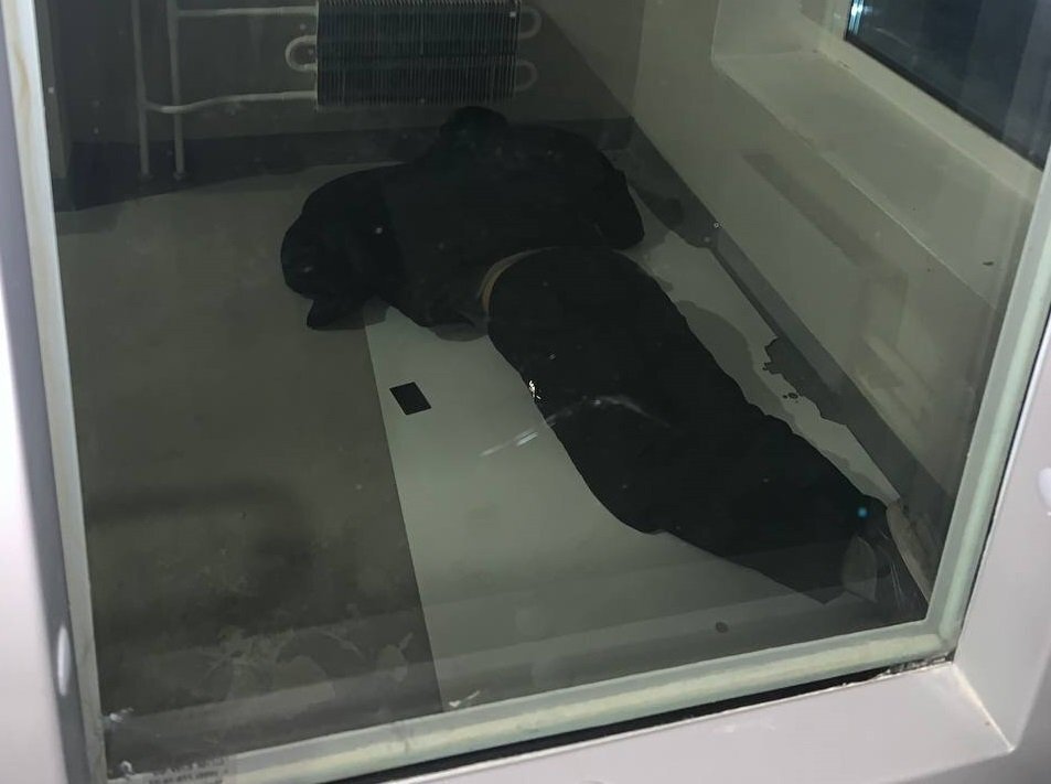 Один из спящих в ЖК "Люблинский парк". Фото: ТГ-канал "Недвижа" 