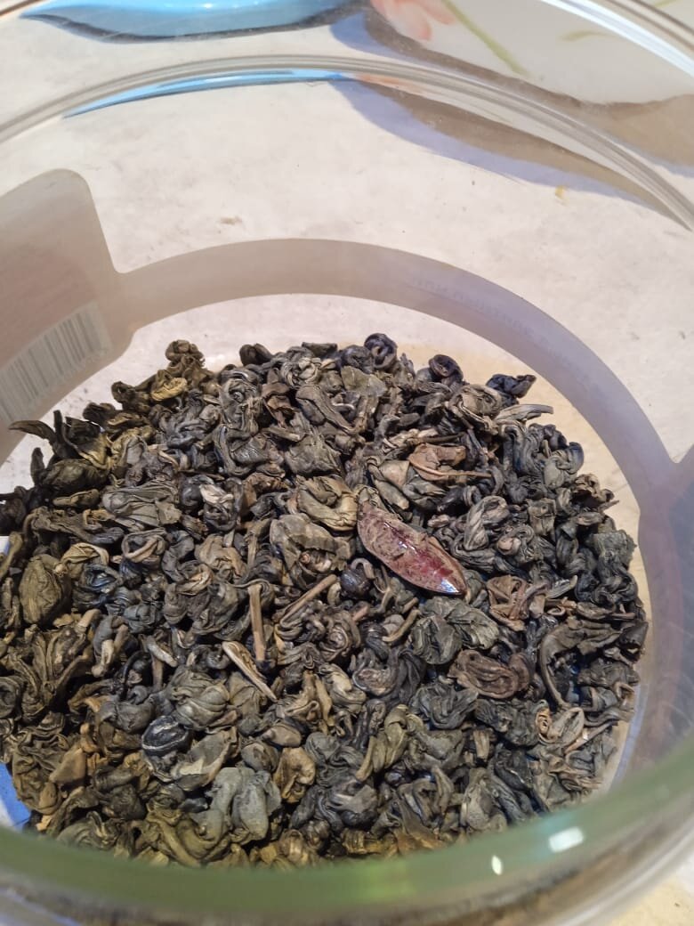 Вот он, бедолага