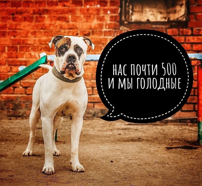 Нам нужна помощь 