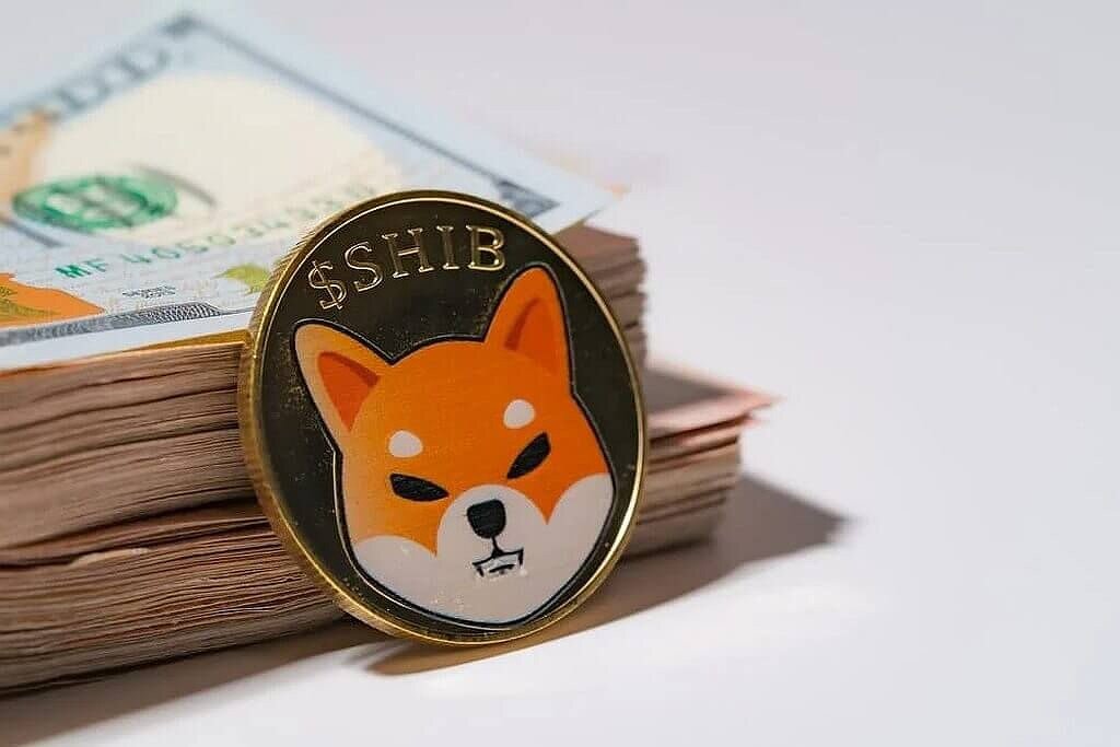 Shiba Inu