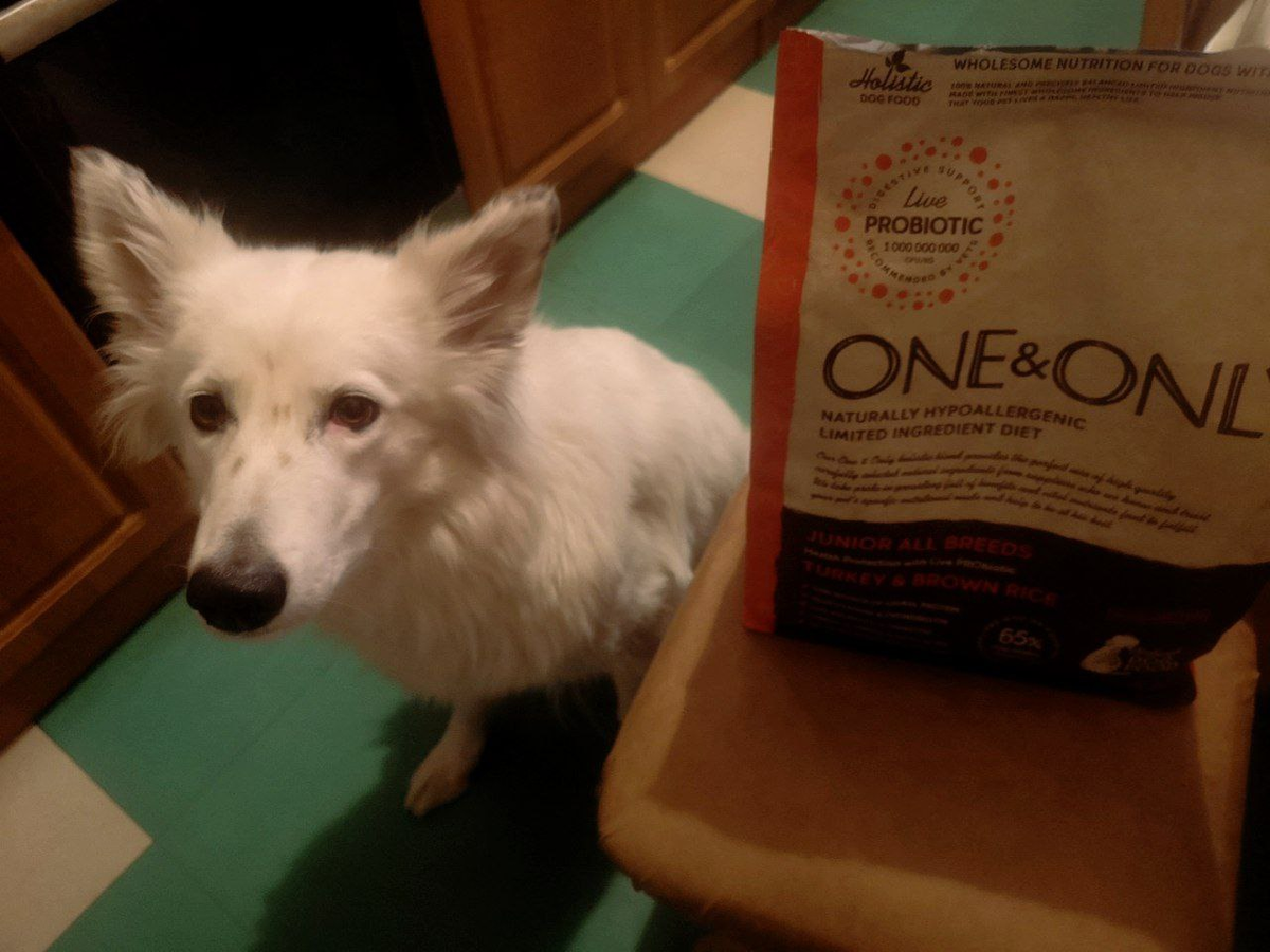 Последний пакет, который удалось раздобыть в нашем городе.