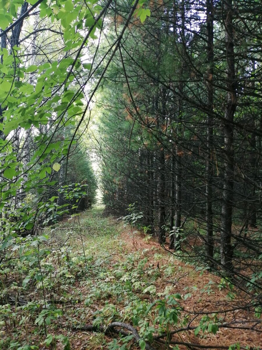 Фото из личного архива