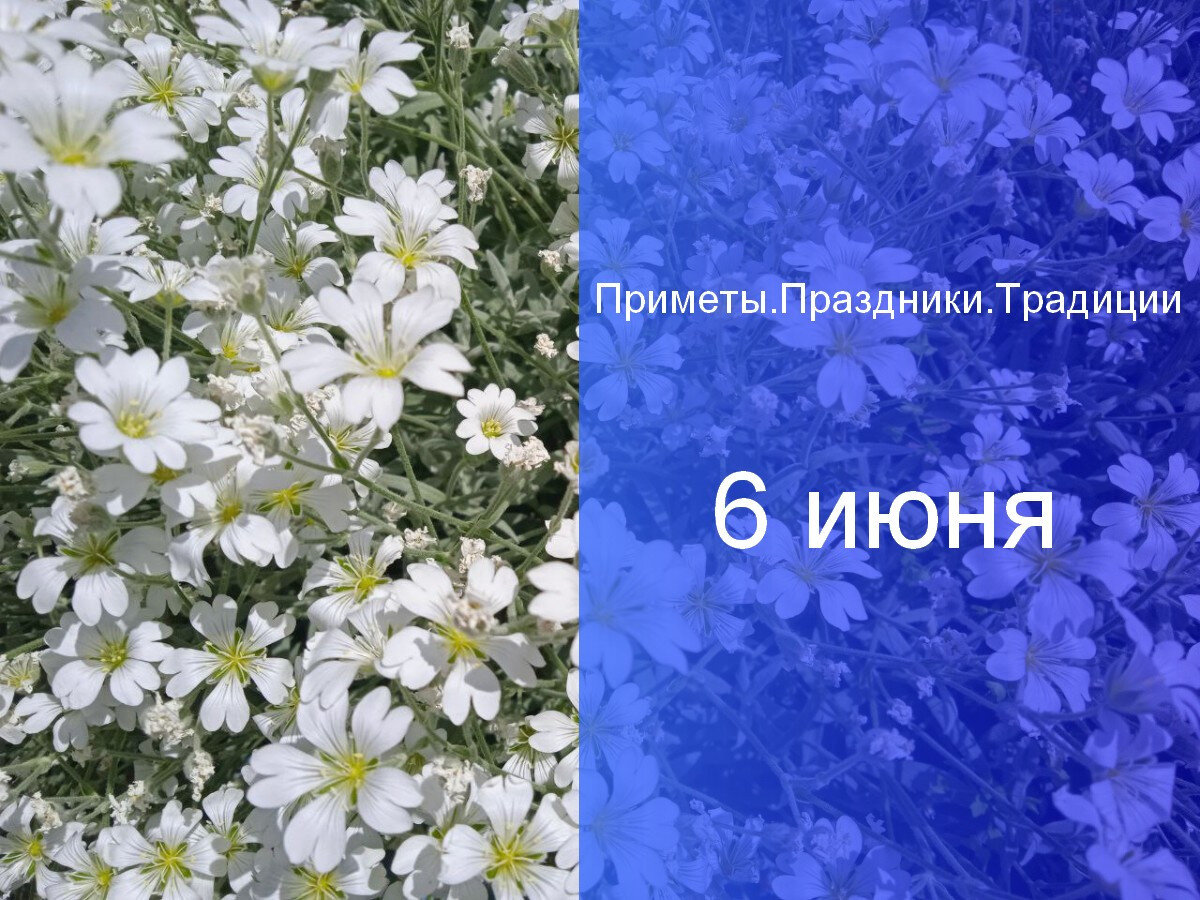   ГТРК "Ставрополье"