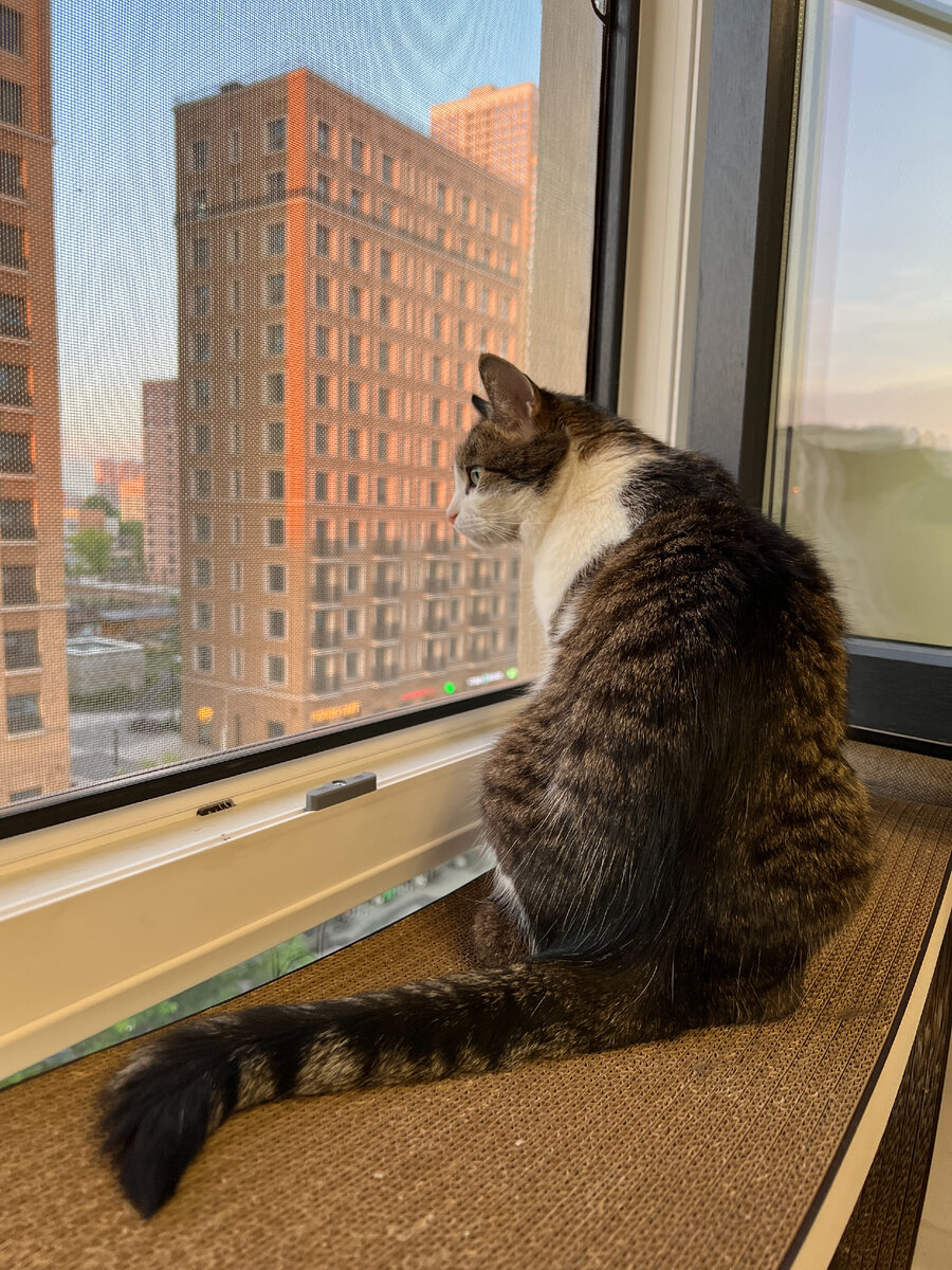 Даша. Фотография из личного архива. 